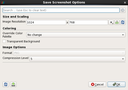 Save Screenshot Options