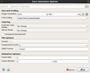 Save Animation Options