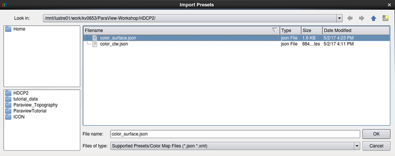 Import preset color_surface.json