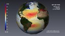 Salinity and Velocity