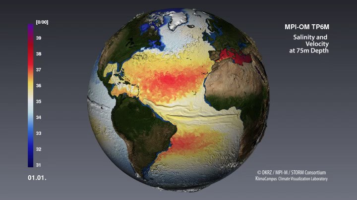 Salinity and Velocity