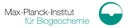 Logo MPI BCG