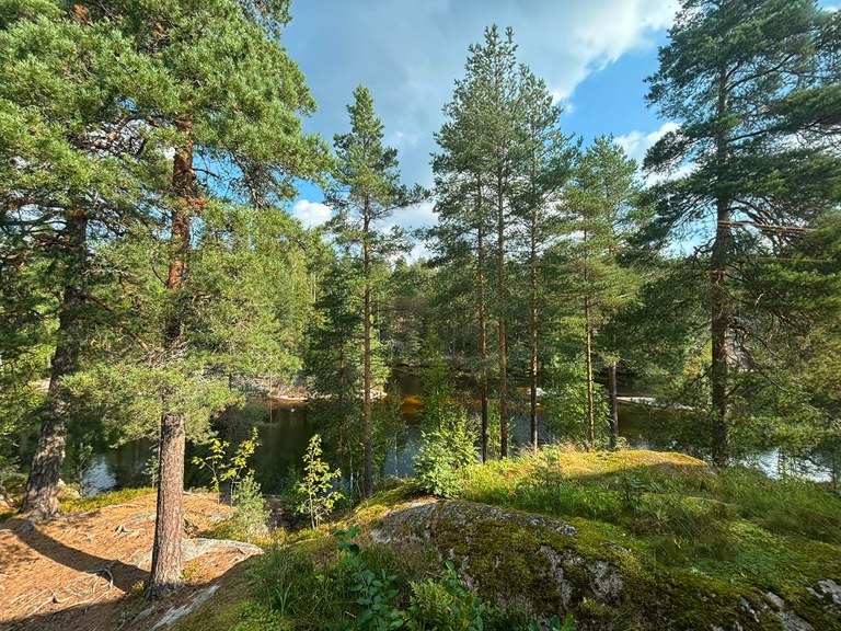 Lake Korpilampi