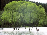 Extreme Ereignisse vor dem Hintergrund des Klimawandels verstehen