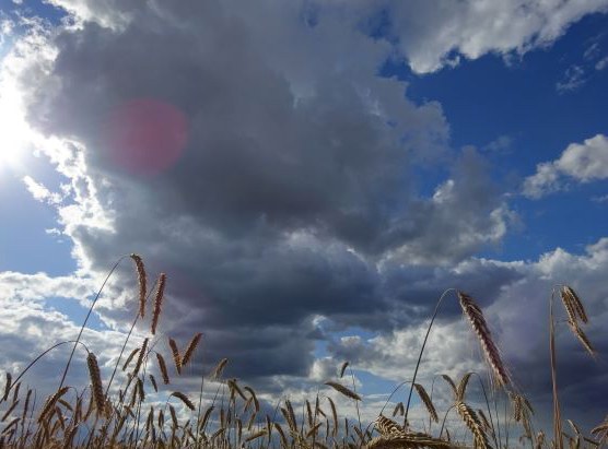 HD(CP)² - Wolken und Niederschlag im Klimasystem