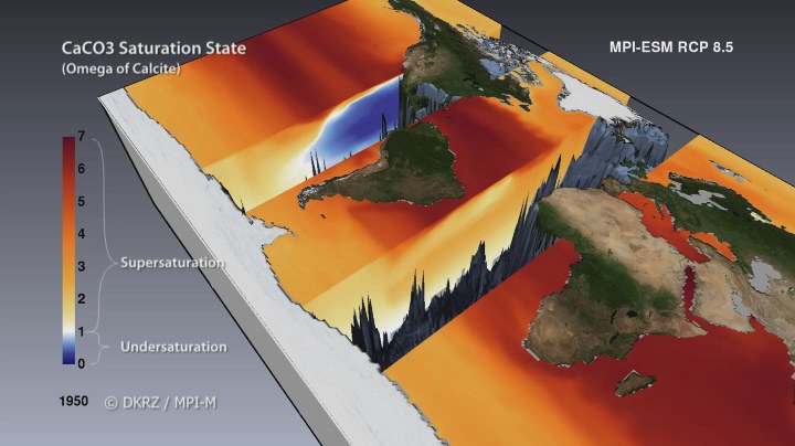 Carbonate in the Ocean