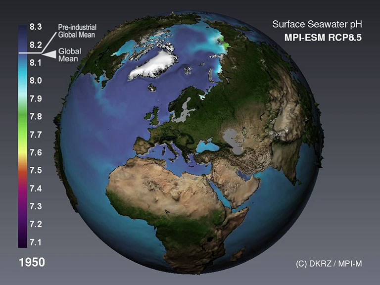 Ocean Acidification