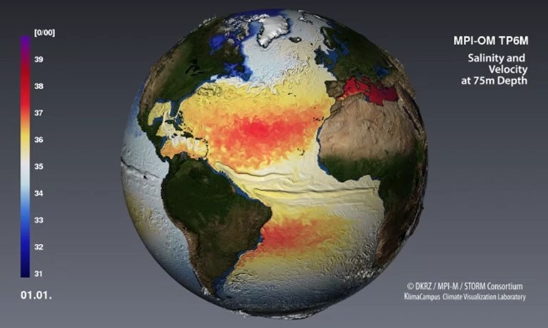 STORM: Salinity and Velocity